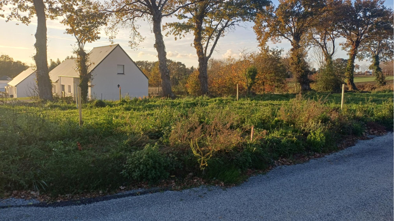 Terrain constructible de 470m2 à Saint-Abraham