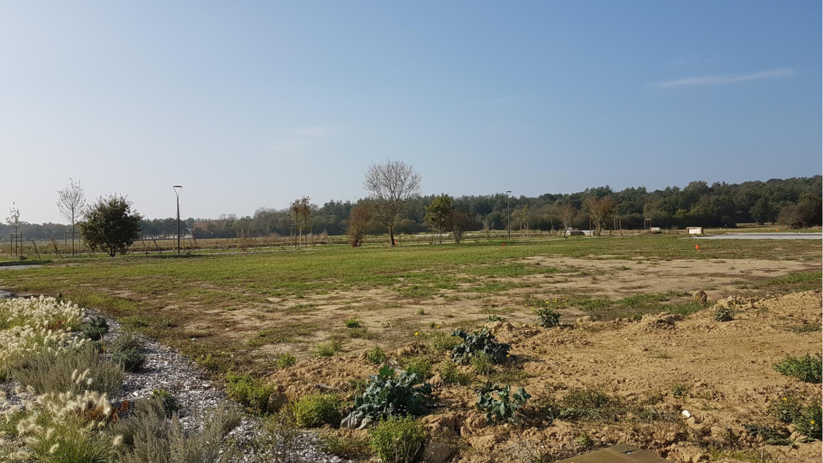 Terrain constructible de 390m2 à Le Loroux-Bottereau