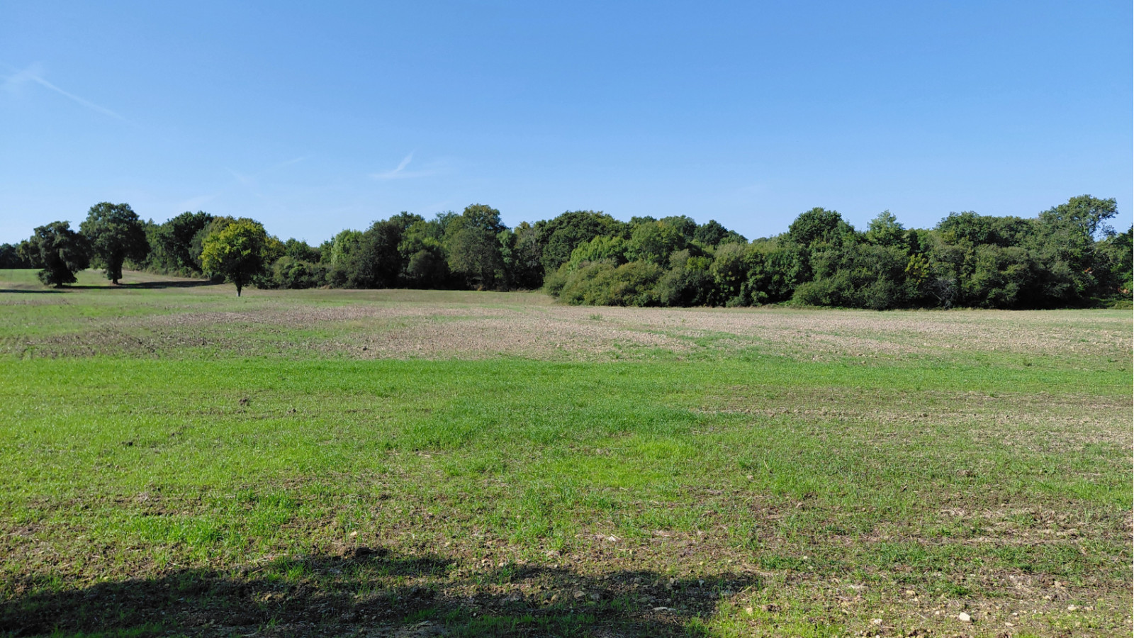 Terrain constructible de 610m2 à Longeville-sur-Mer