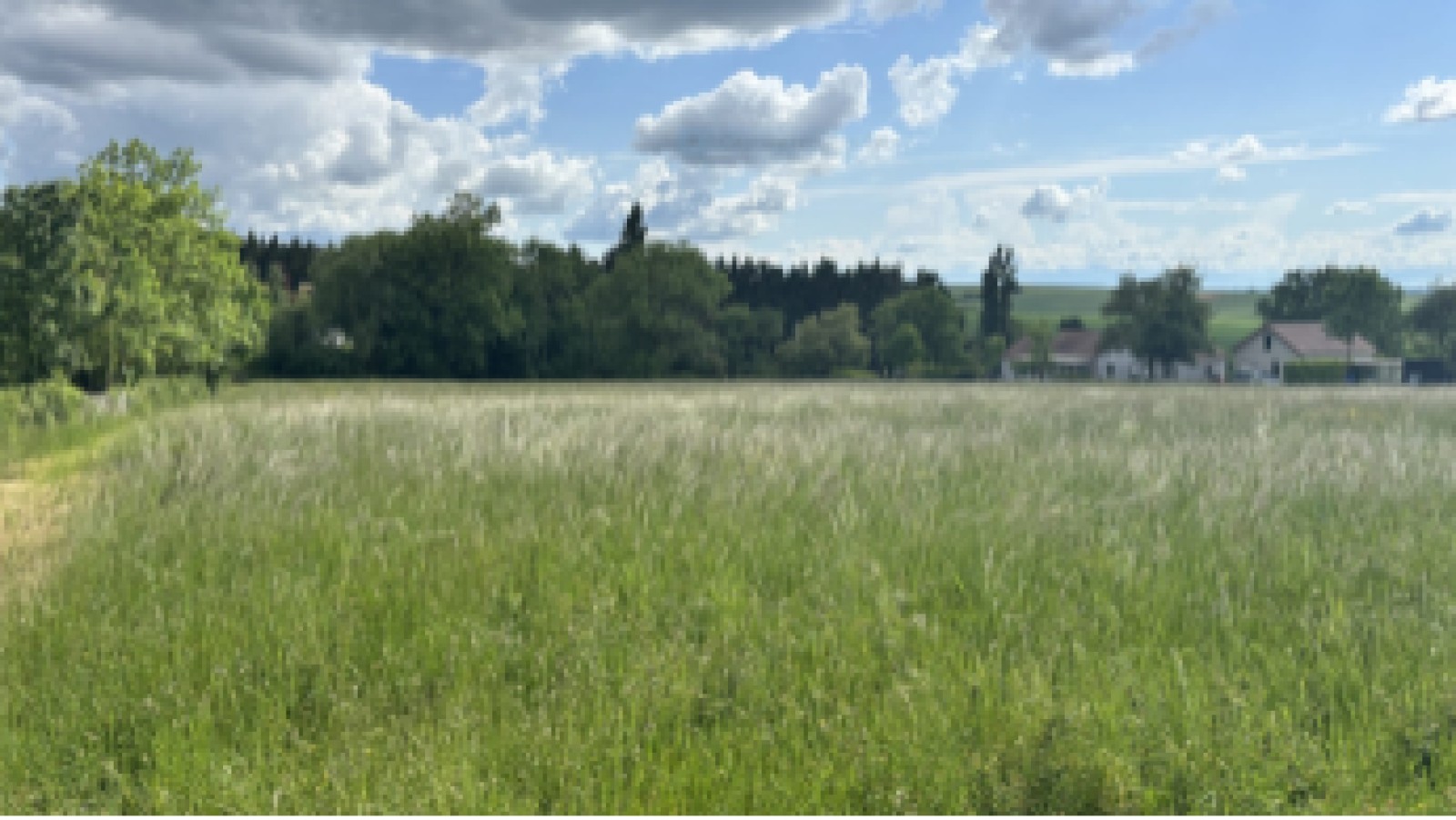 Terrain constructible de 3383m2 à Quenne