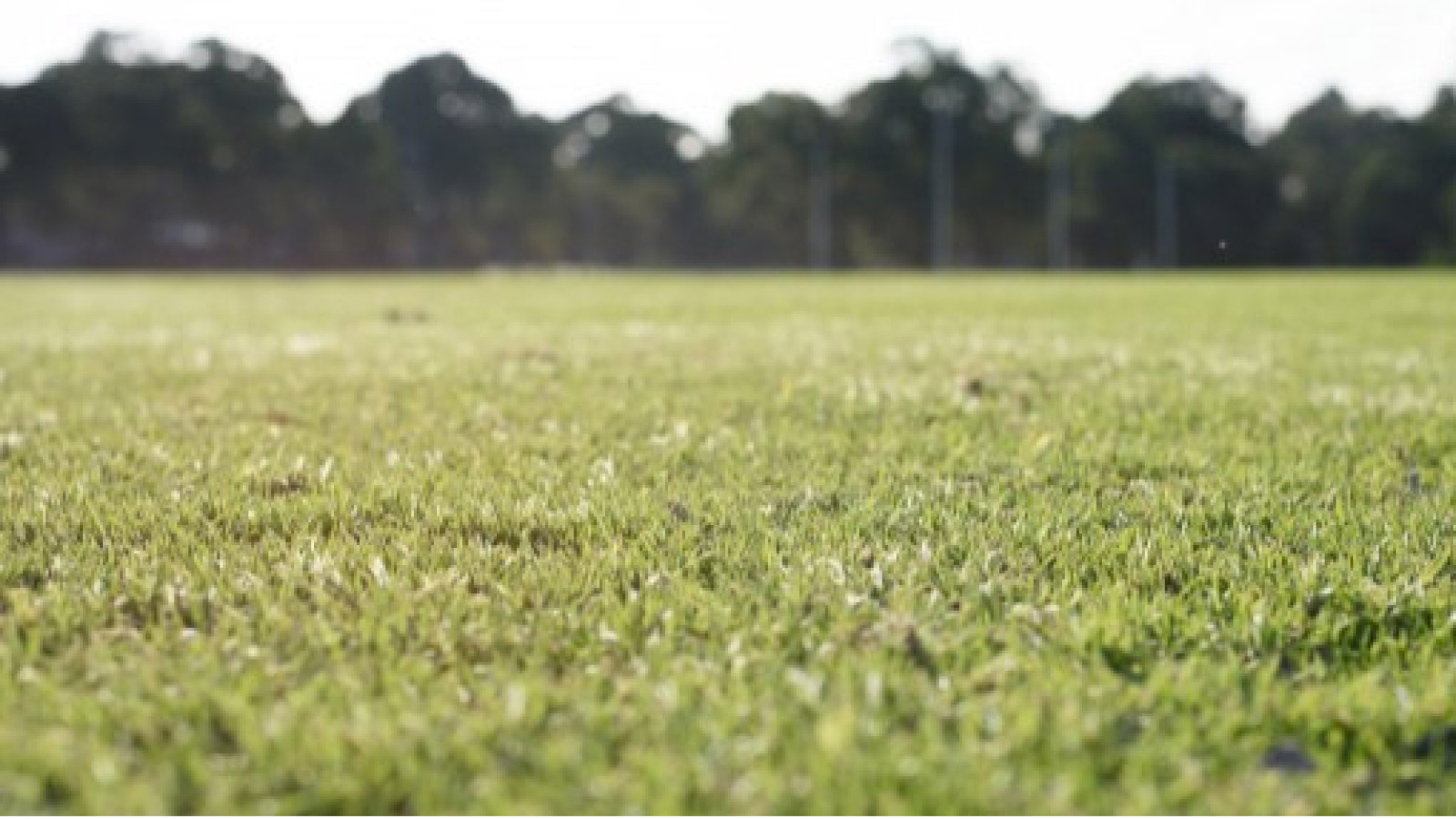 Terrain constructible de 1434m2 à Sonzay