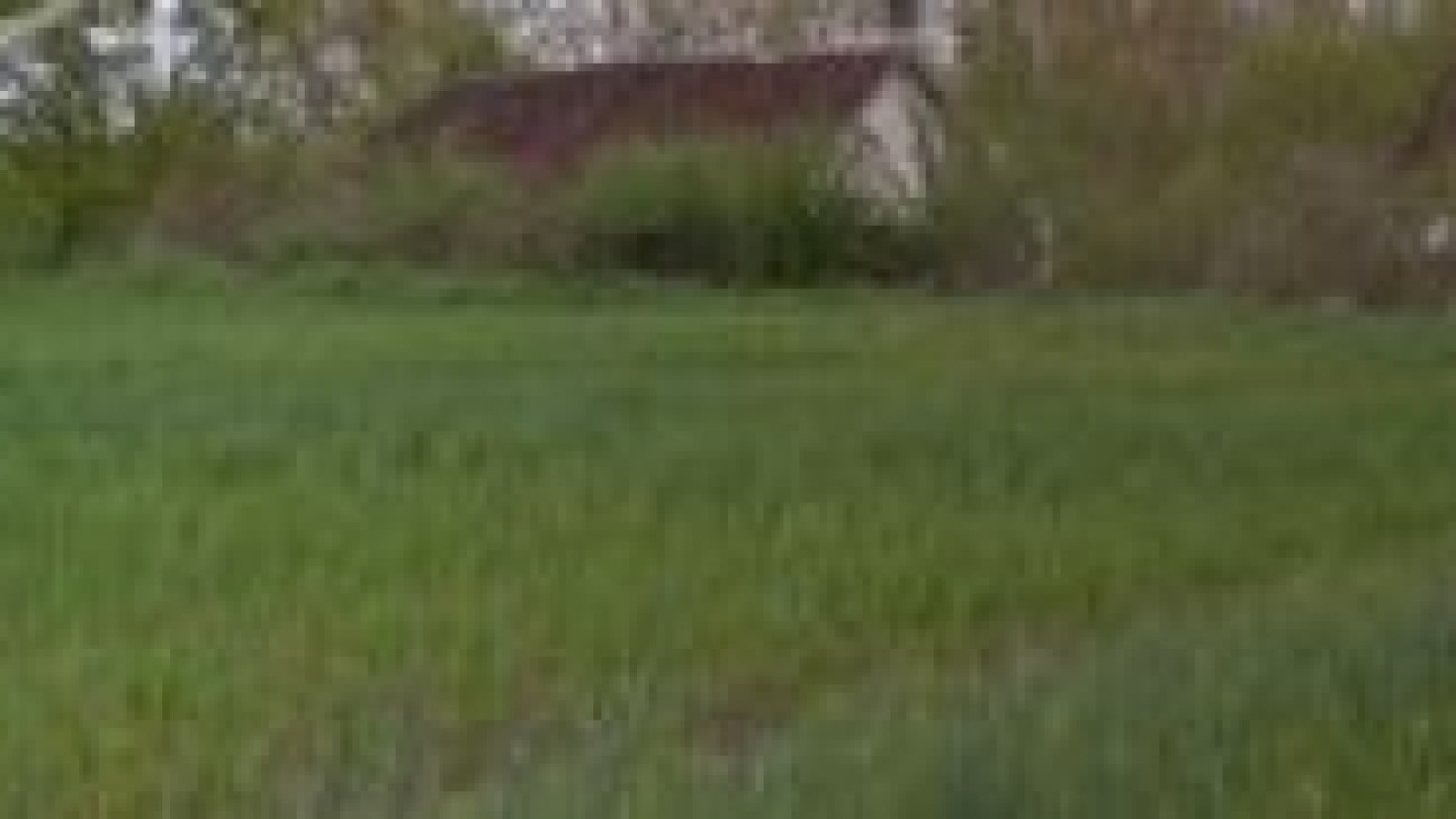 Terrain constructible de 700m2 à Charbuy