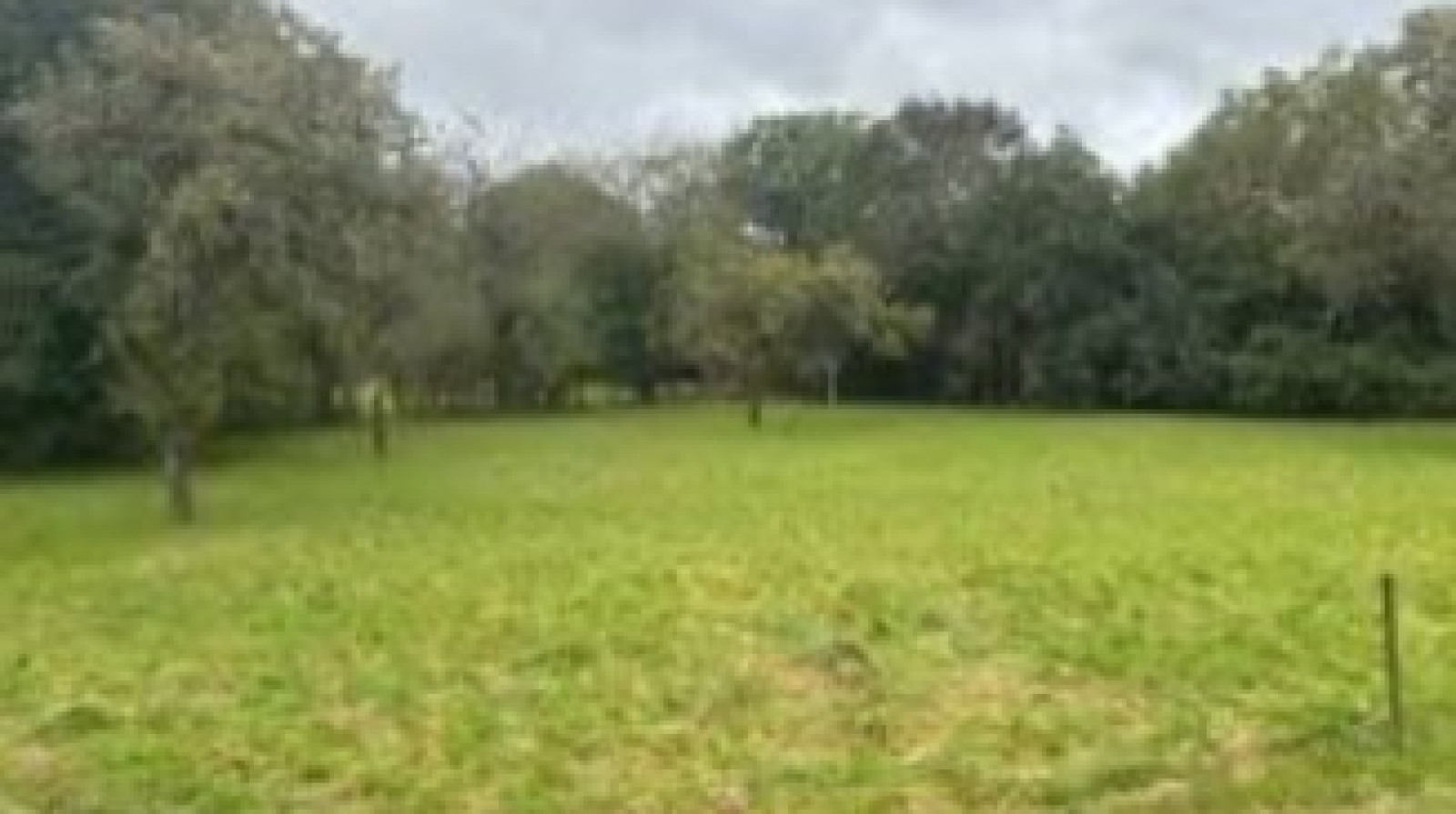 Terrain constructible de 1600m2 à Venoy