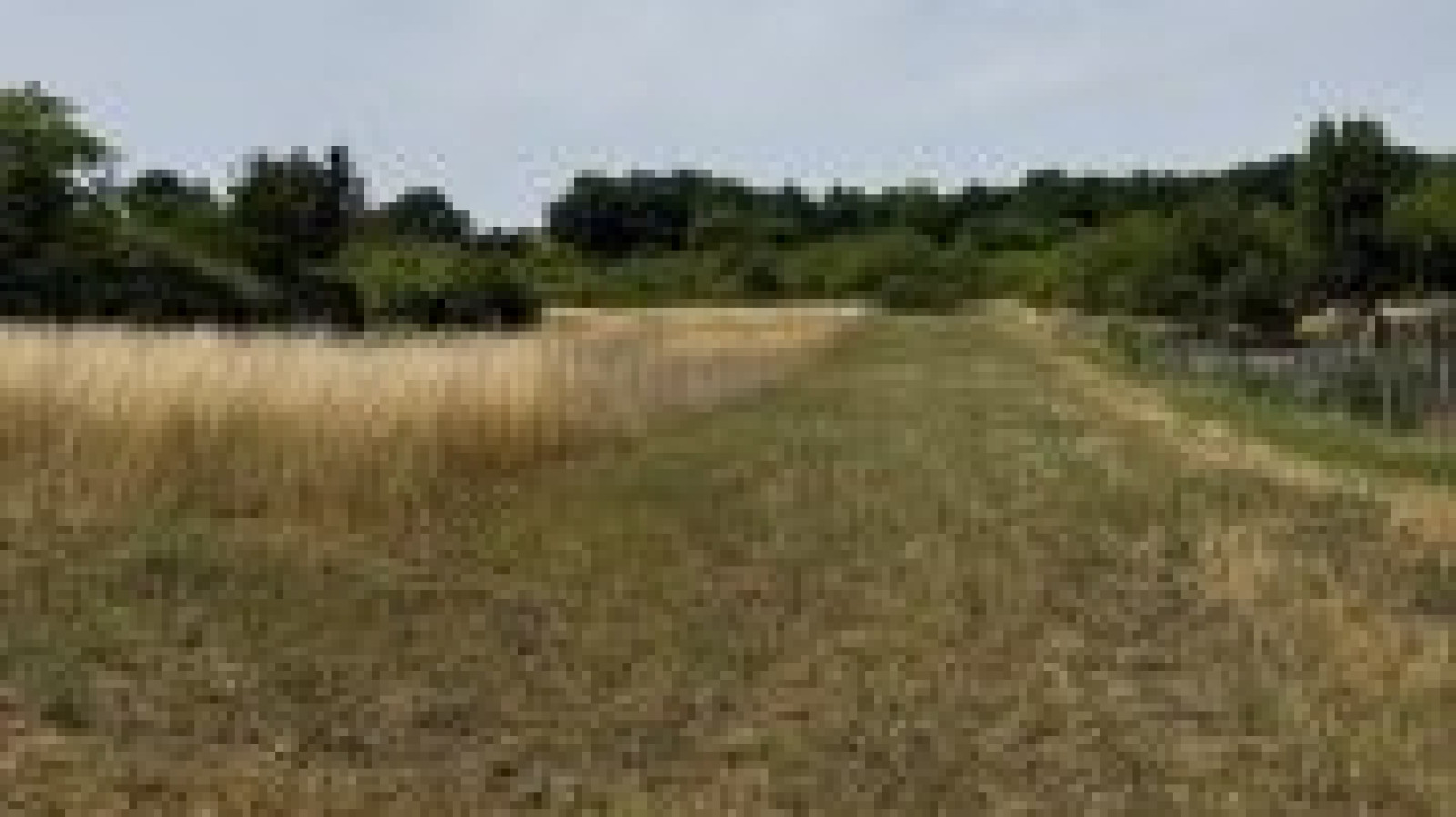 Terrain constructible de 902m2 à Lindry