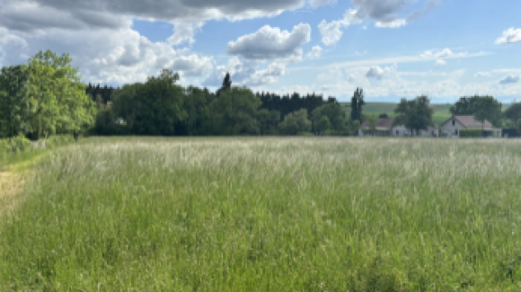 Quenne - 3383m².png