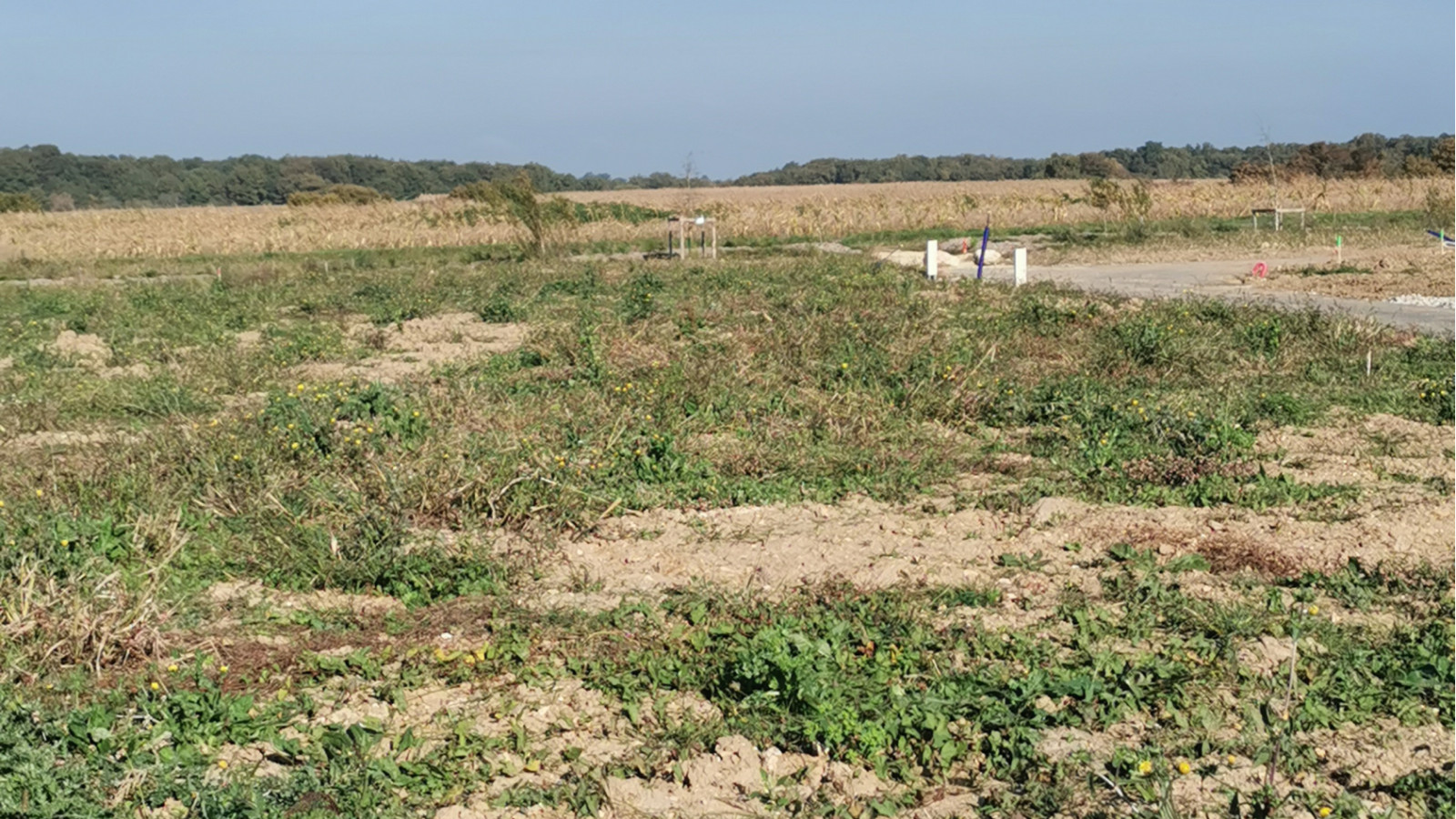 Terrain constructible de 307m2 à Luynes