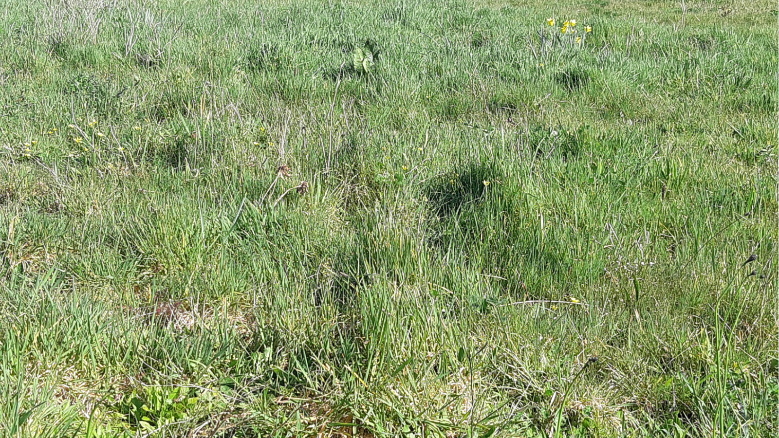 Terrain constructible de 451m2 à Crossac