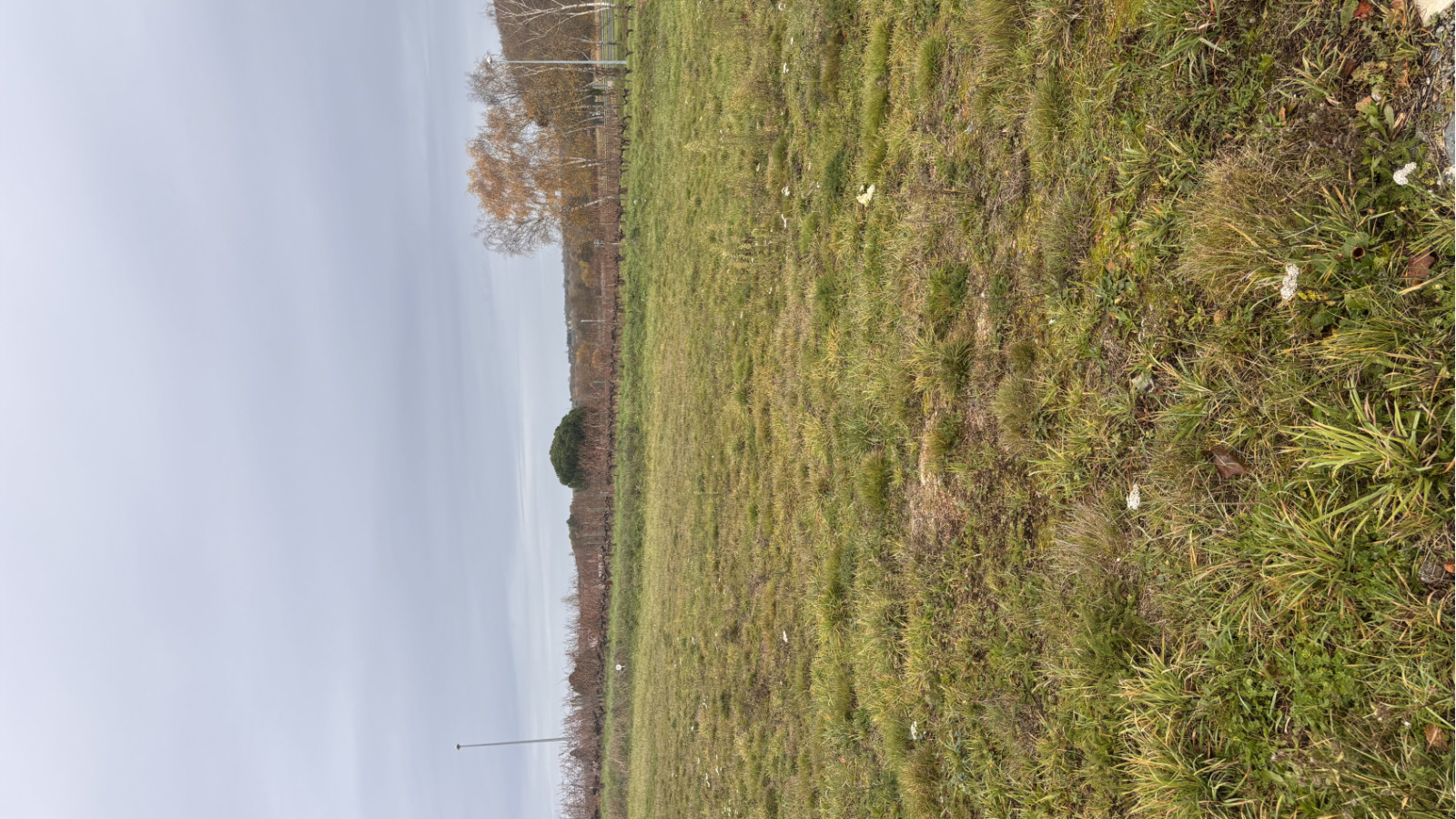 Terrain constructible de 560m2 à Brissac Loire Aubance