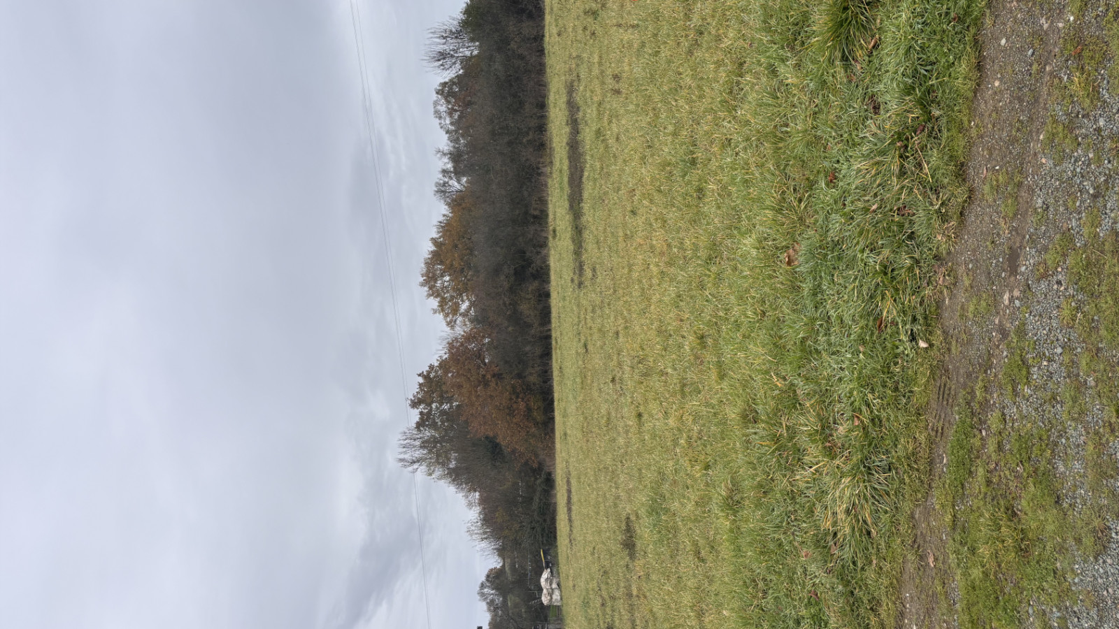 Terrain constructible de 514m2 à Beaupréau-en-Mauges