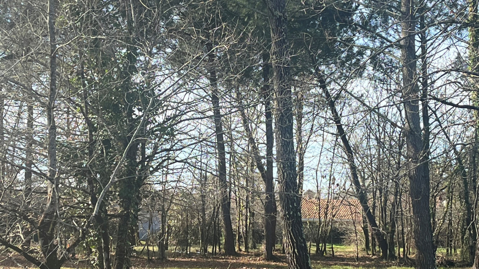 Terrain constructible de 621m2 à Audenge