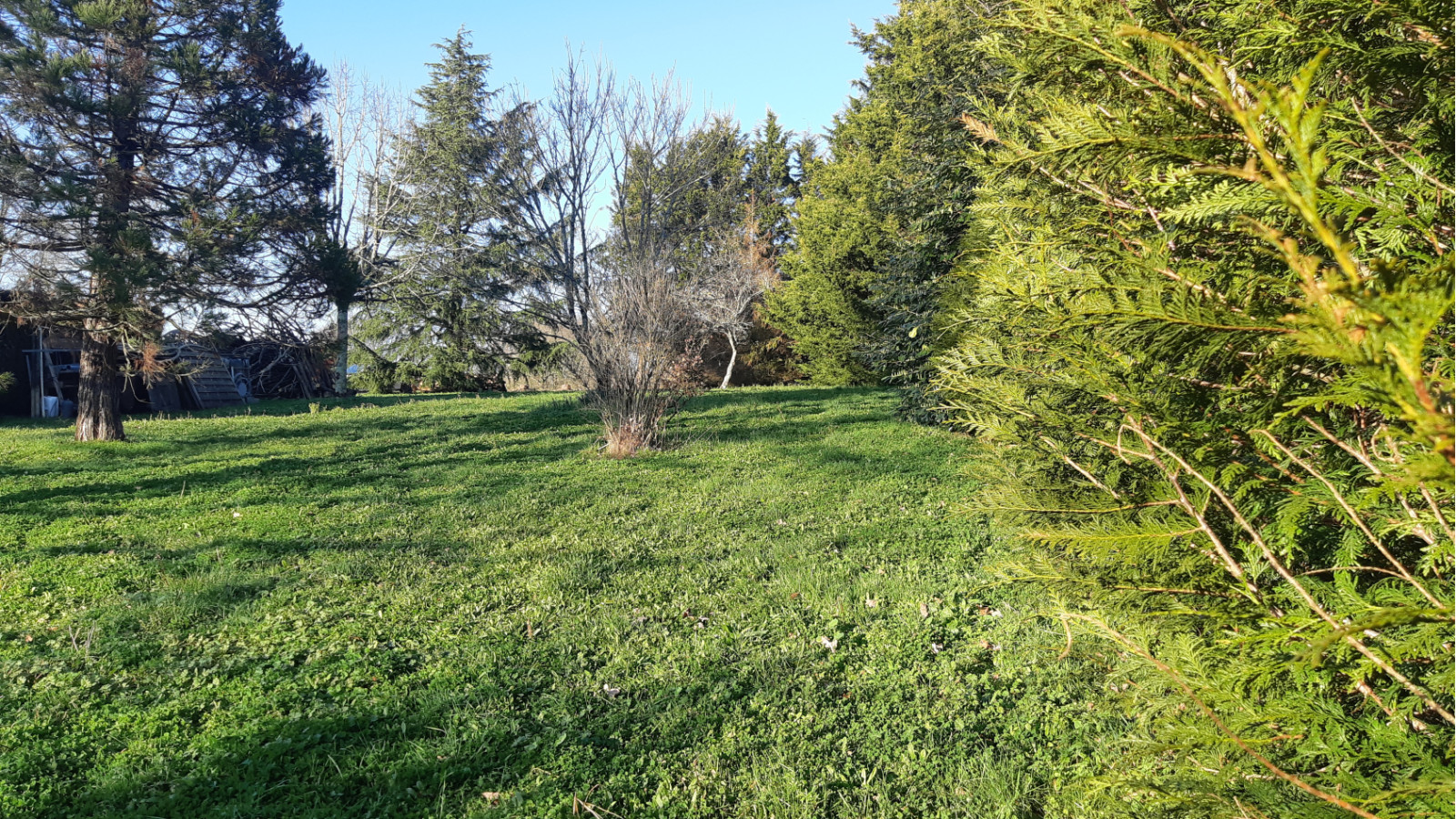 Terrain constructible de 896m2 à Saint-Gildas-des-Bois