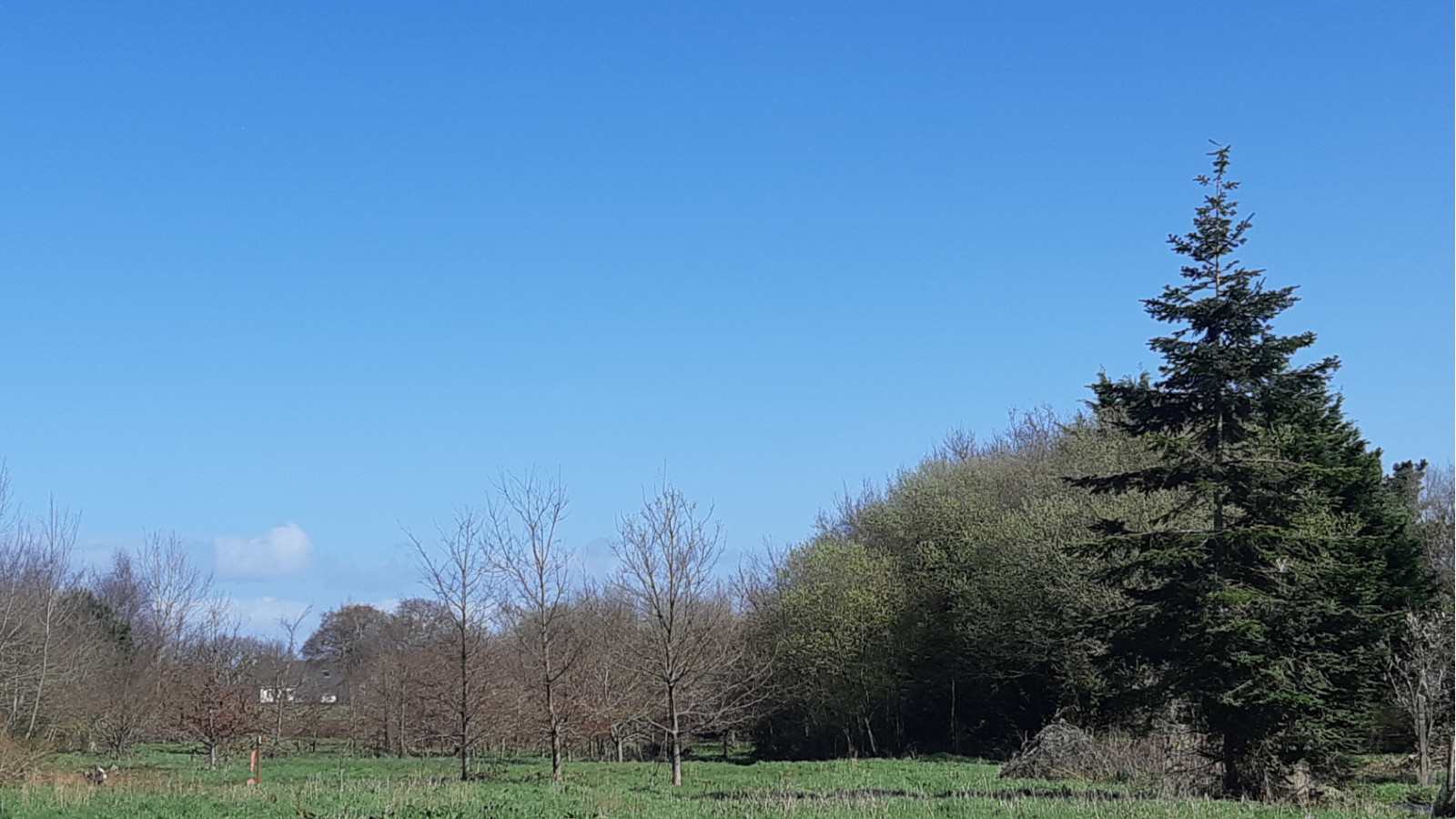 Terrain constructible de 1300m2 à Drefféac