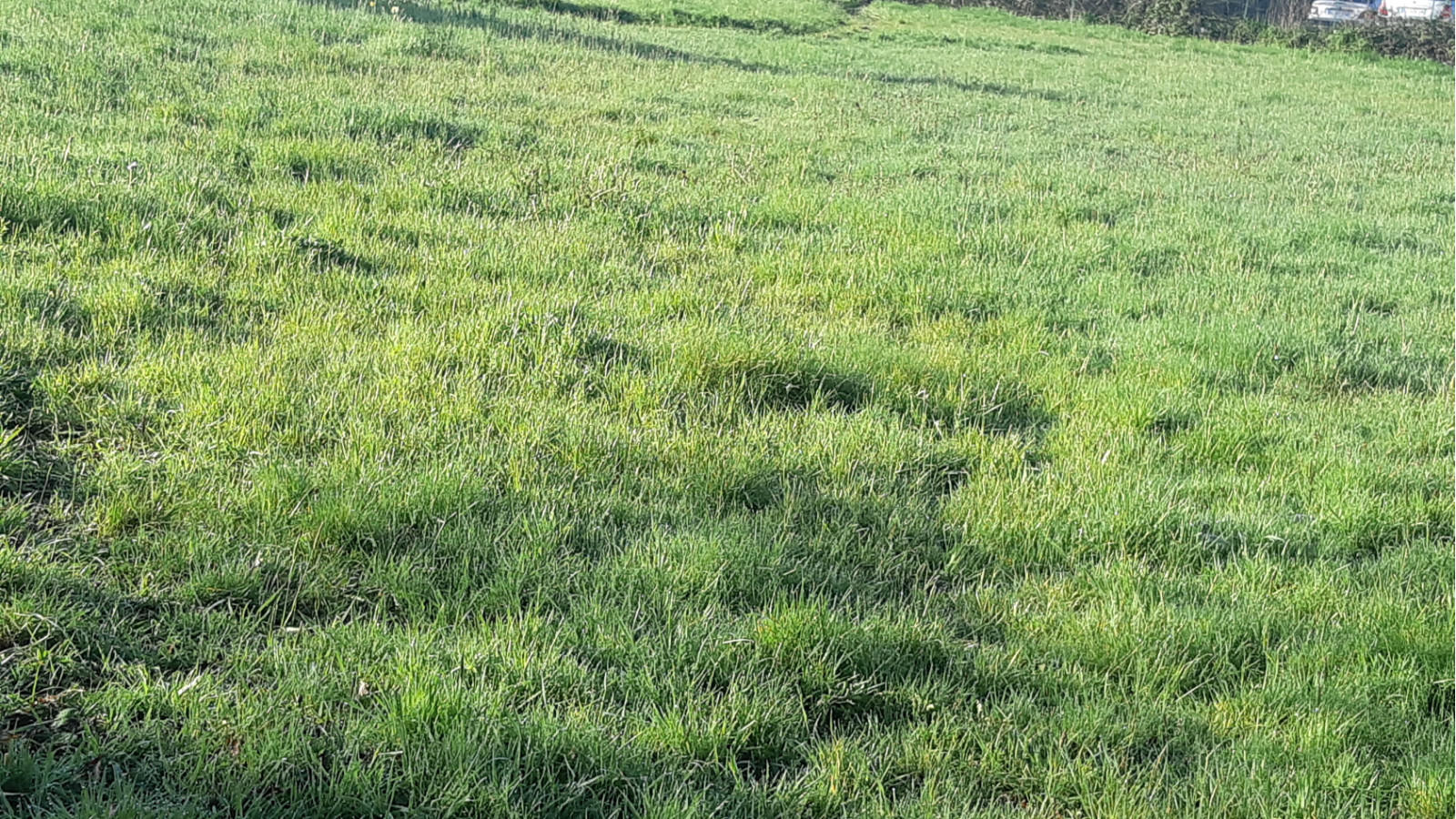 Terrain constructible de 500m2 à Saint-Dolay