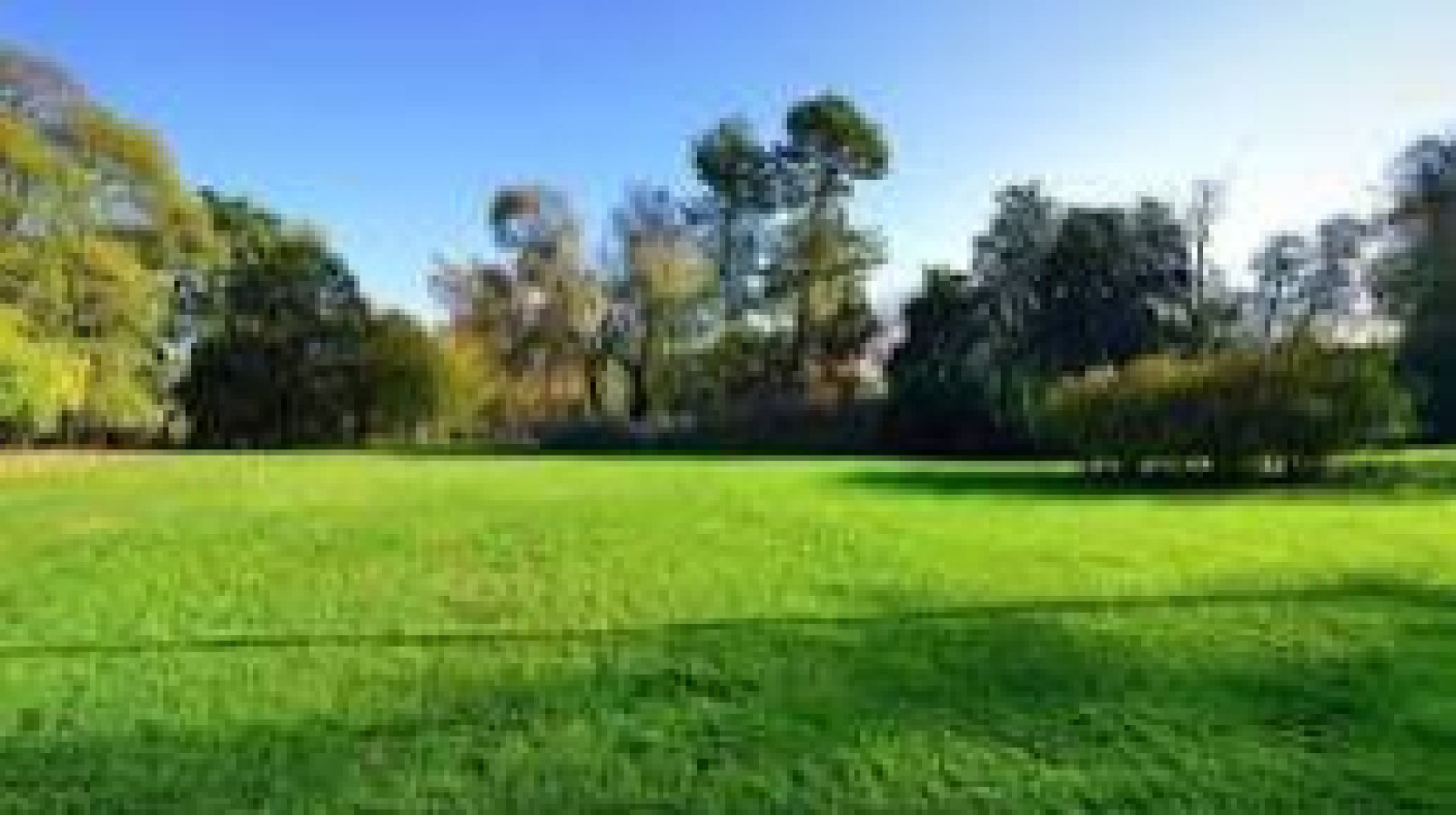 Terrain constructible de 570m2 à Forges-la-Forêt