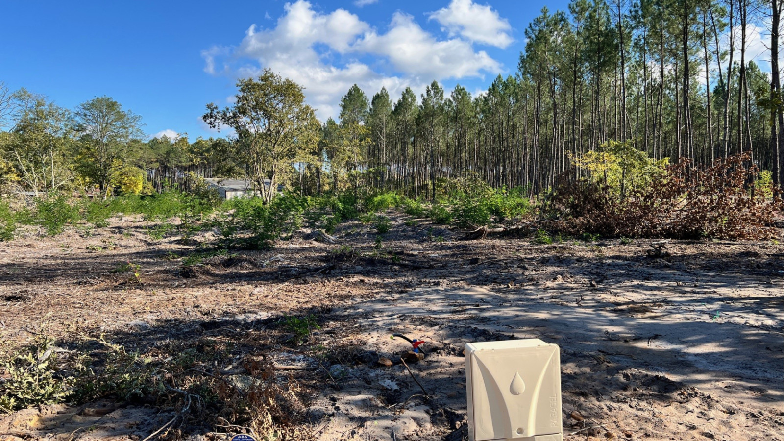 Terrain constructible de 688m2 à Luxey