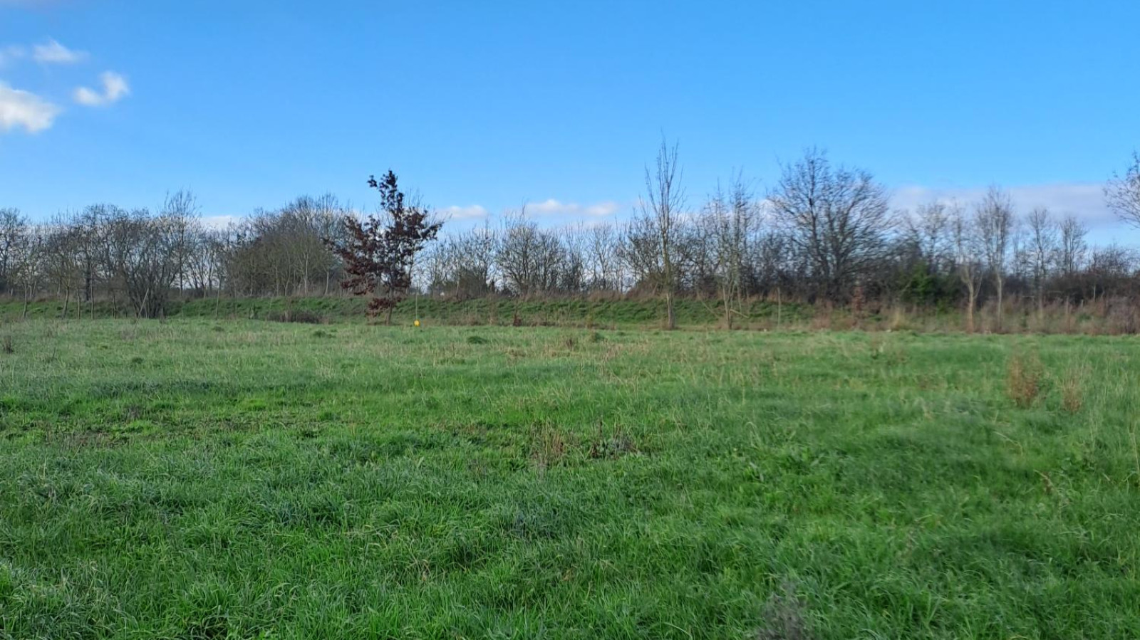 Terrain constructible de 384m2 à Mauges-sur-Loire