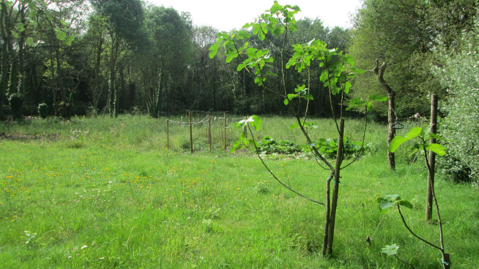 Terrain constructible de 975m2 à Saint-Malo-de-Guersac