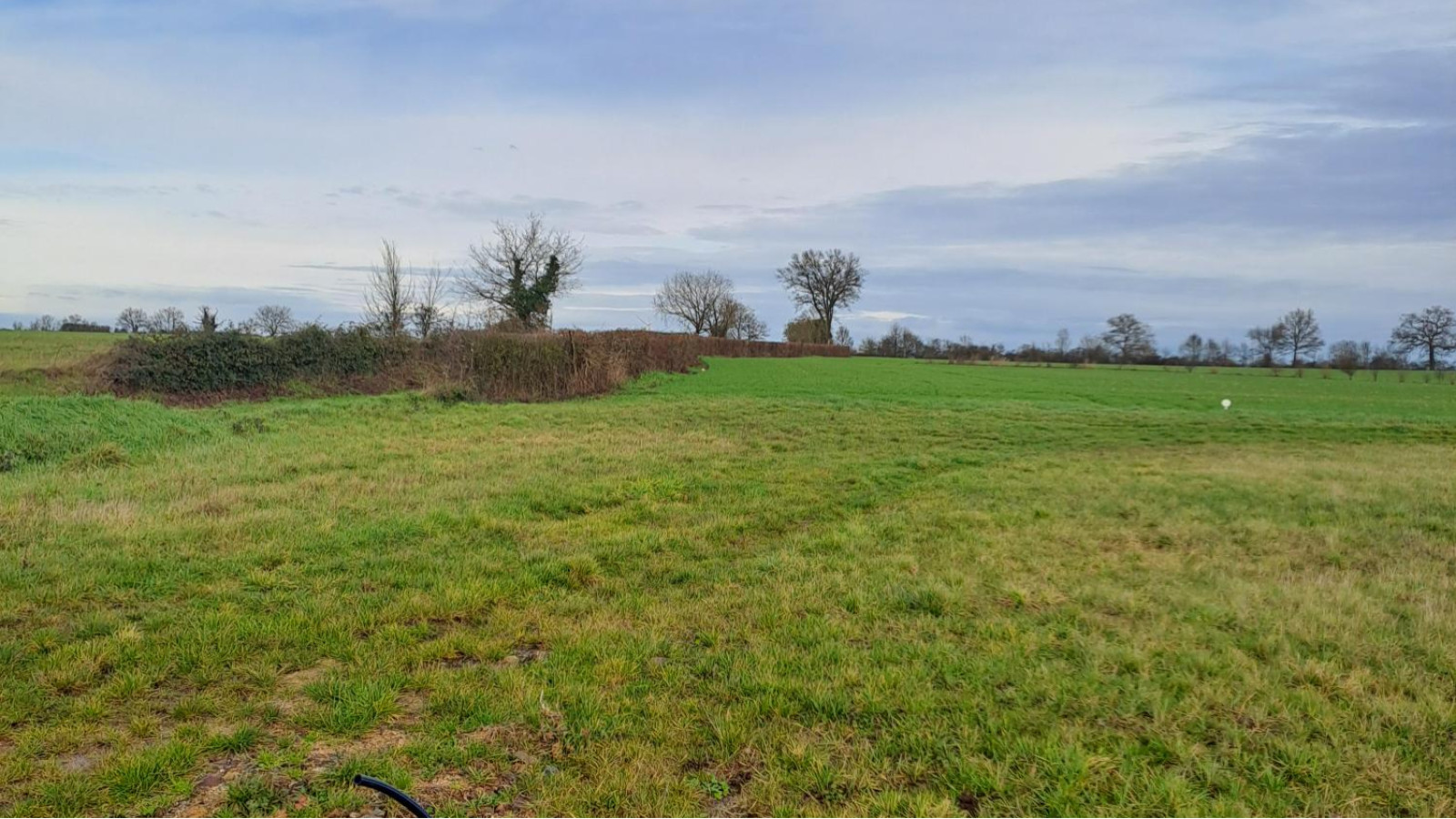 Terrain constructible de 666m2 à Chemillé-en-Anjou