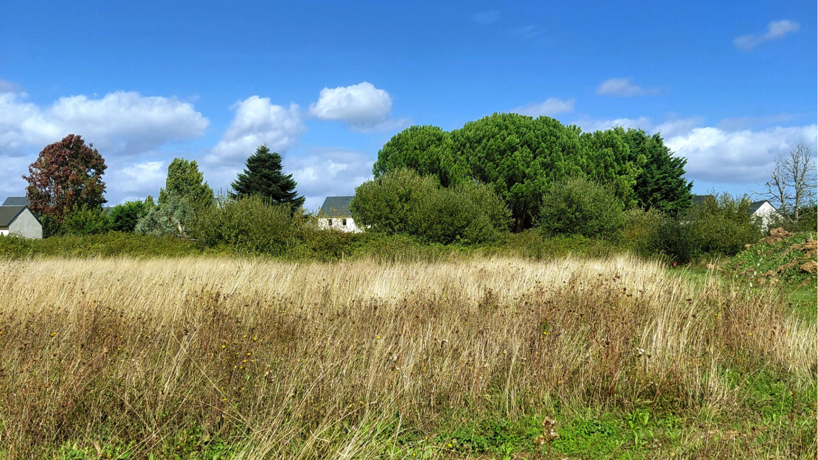 Terrain constructible de 481m2 à Montlouis-sur-Loire