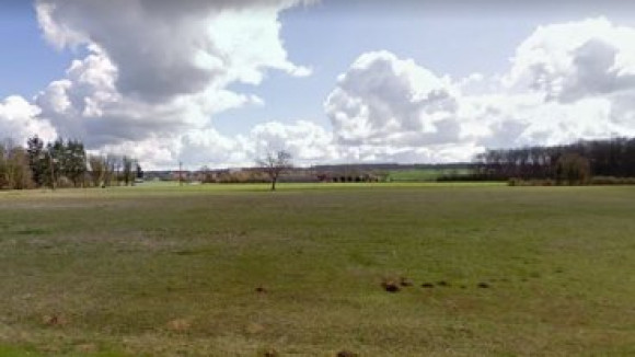 photo orches (1).jpeg