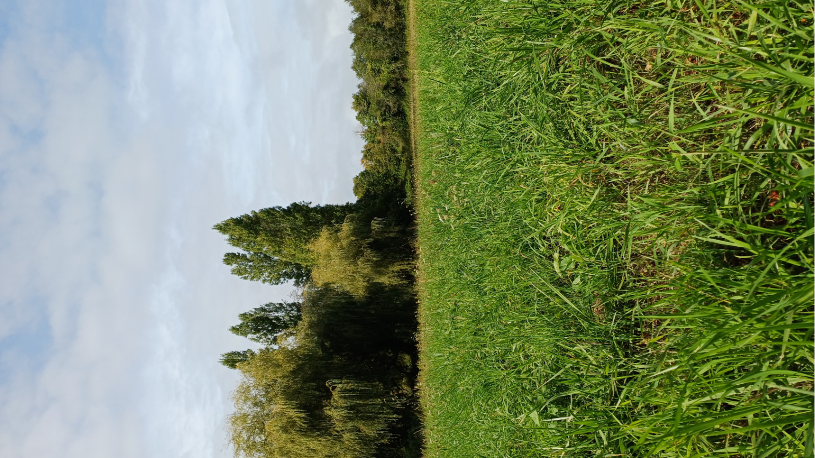 Terrain constructible de 934m2 à Saint-Vincent-des-Landes