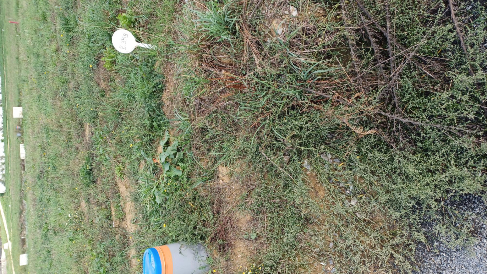 Terrain constructible de 306m2 à Saint-Symphorien