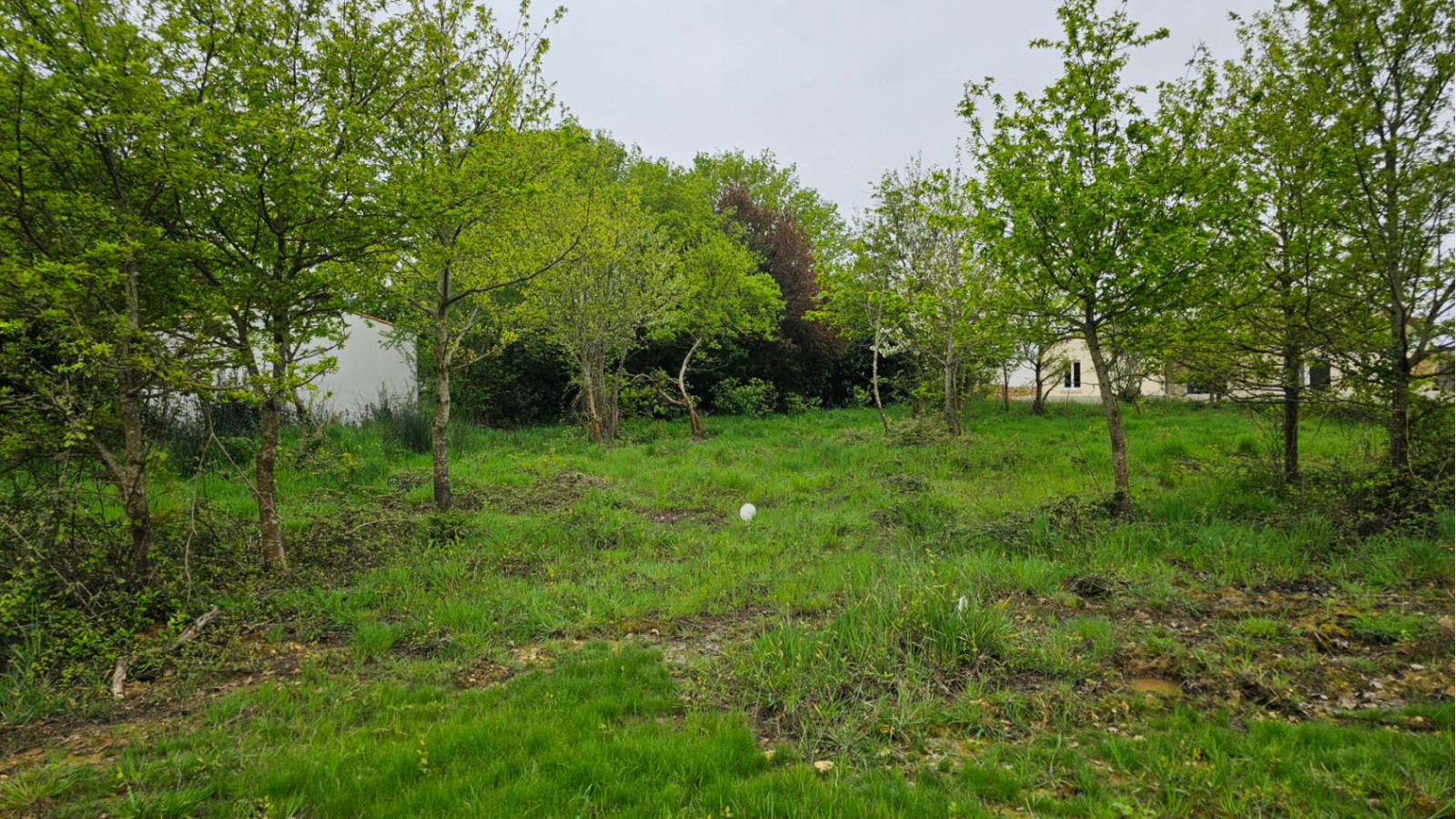 Terrain constructible de 2470m2 à Chaumont-sur-Loire
