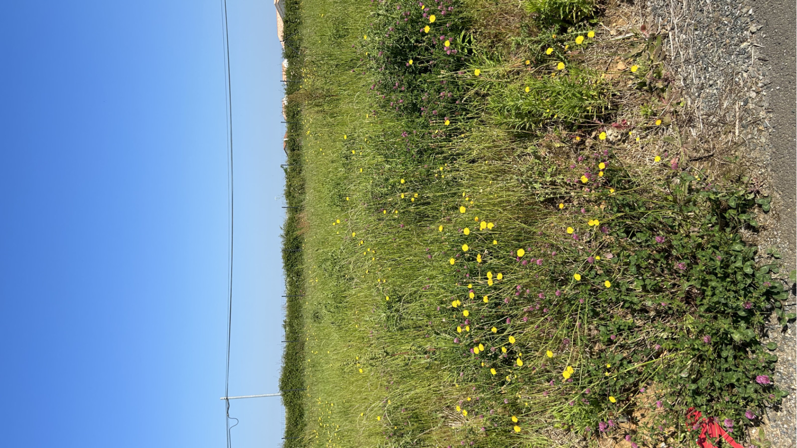 Terrain constructible de 599m2 à Froidfond