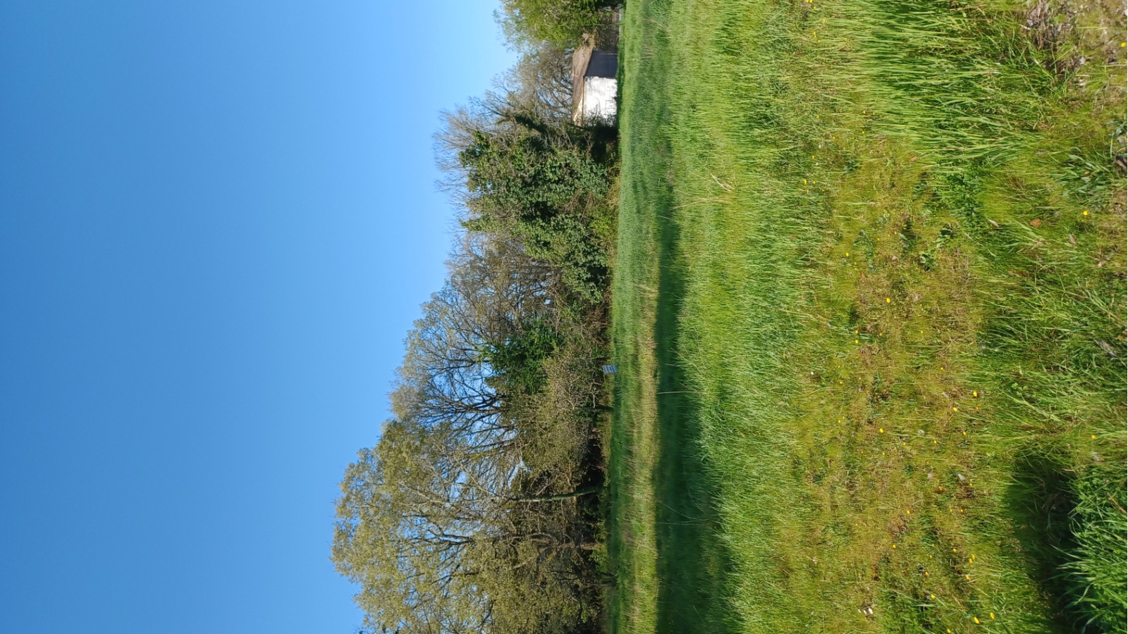 Terrain constructible de 501m2 à Cadaujac