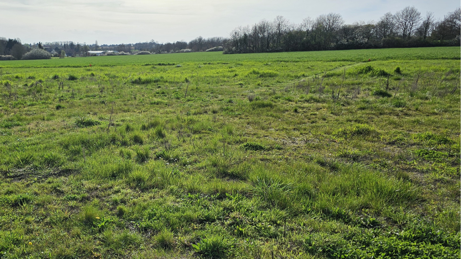 Terrain constructible de 1200m2 à Reignac-sur-Indre