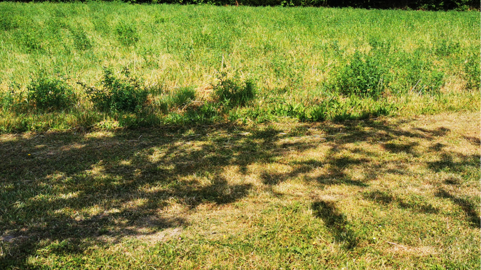 Terrain constructible de 1000m2 à Cigogné