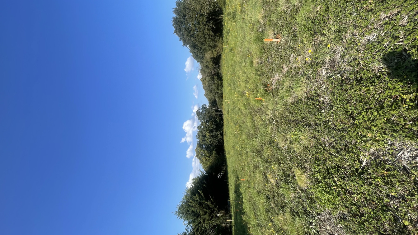 Terrain constructible de 350m2 à Guérande