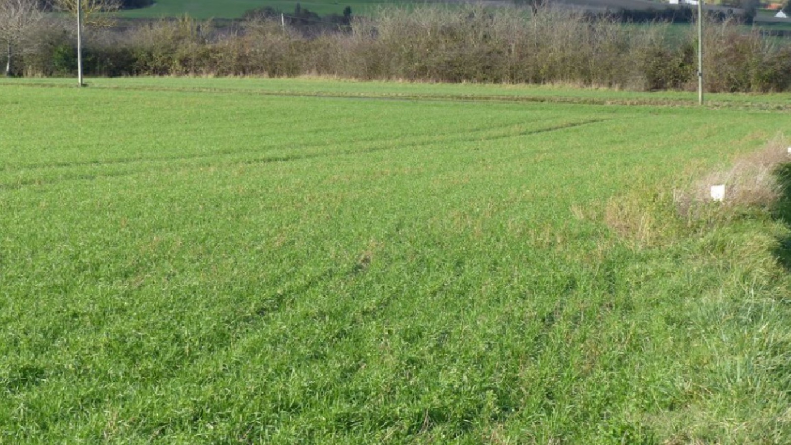 Terrain constructible de 923m2 à Lésigny