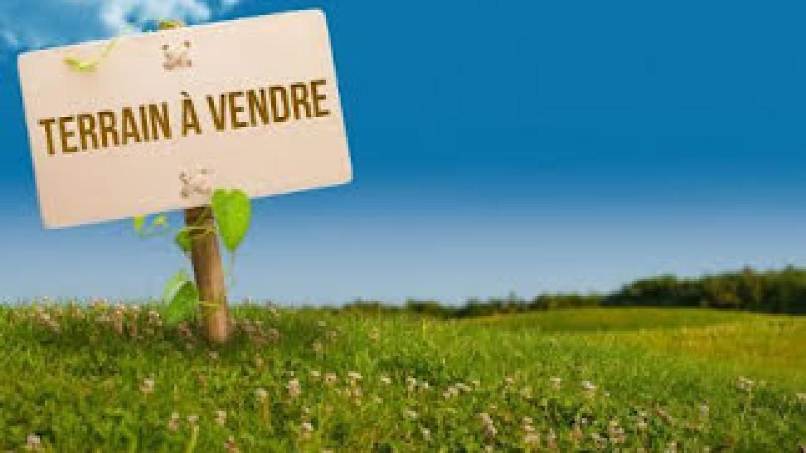 Terrain constructible de 2225m2 à Échenon