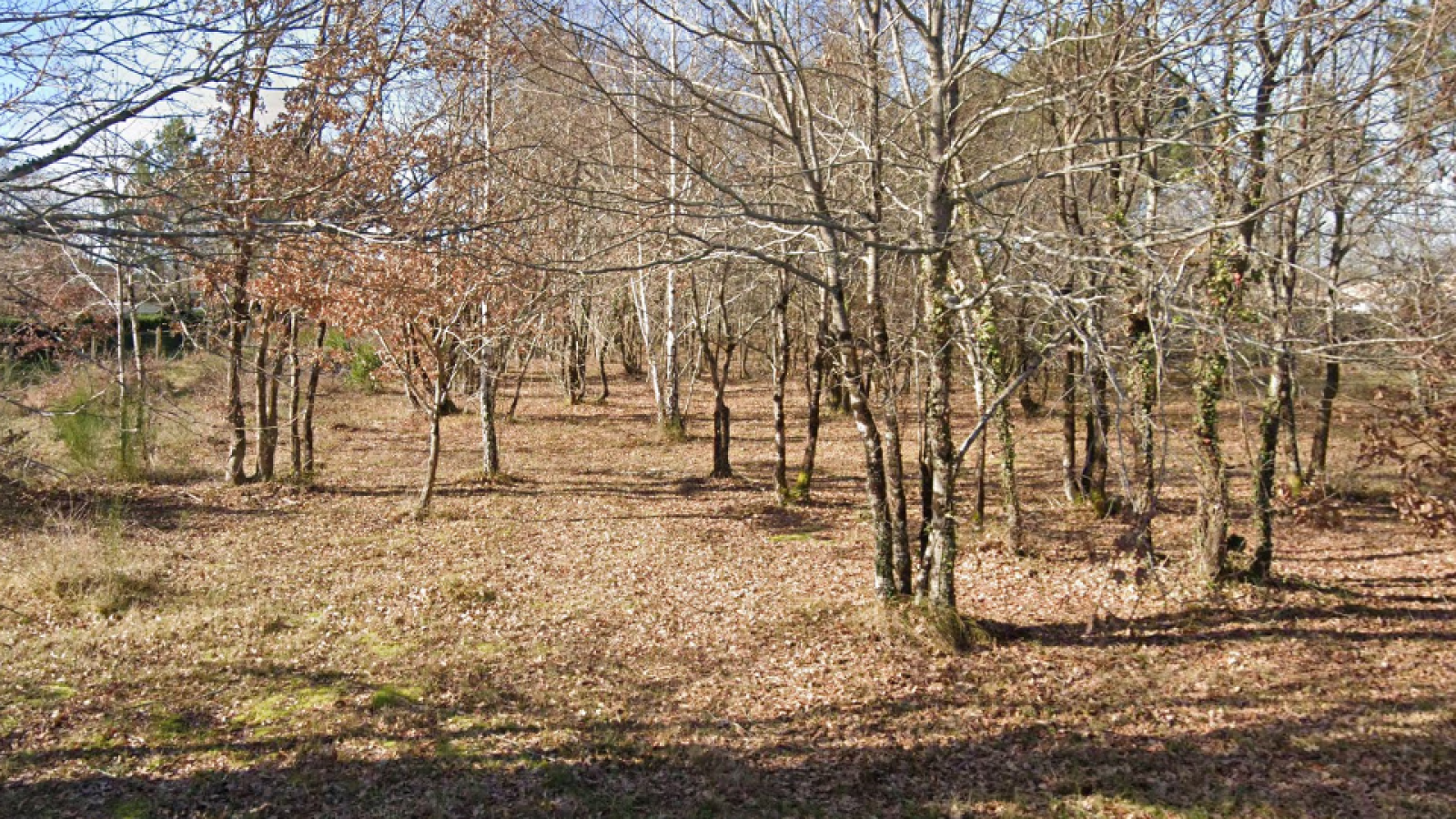 Terrain constructible de 1500m2 à Audenge