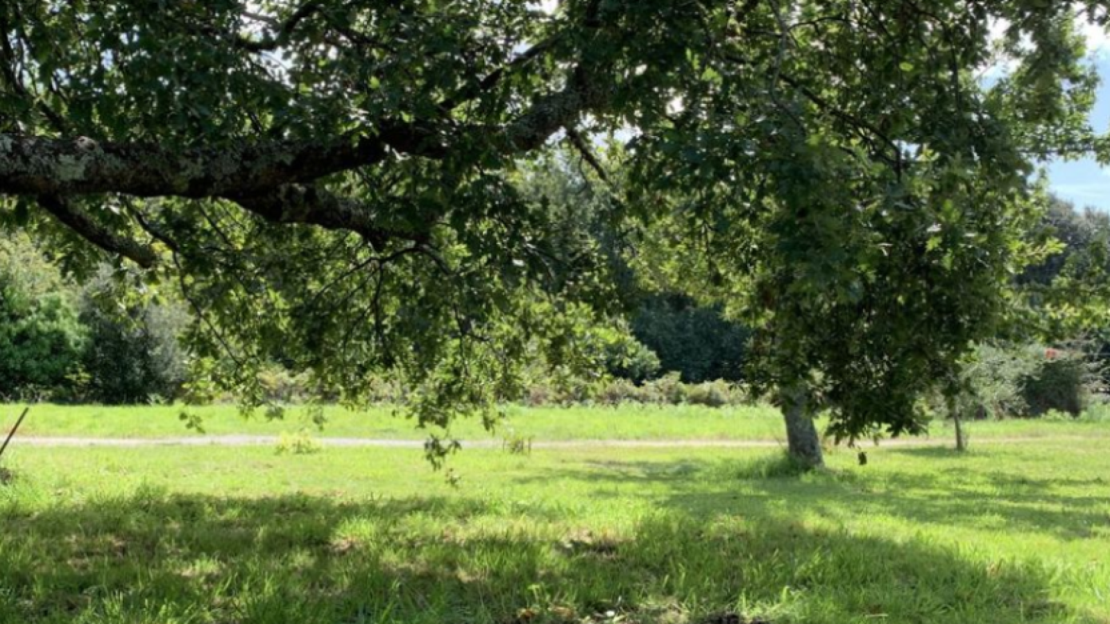 Terrain constructible de 830m2 à Plescop