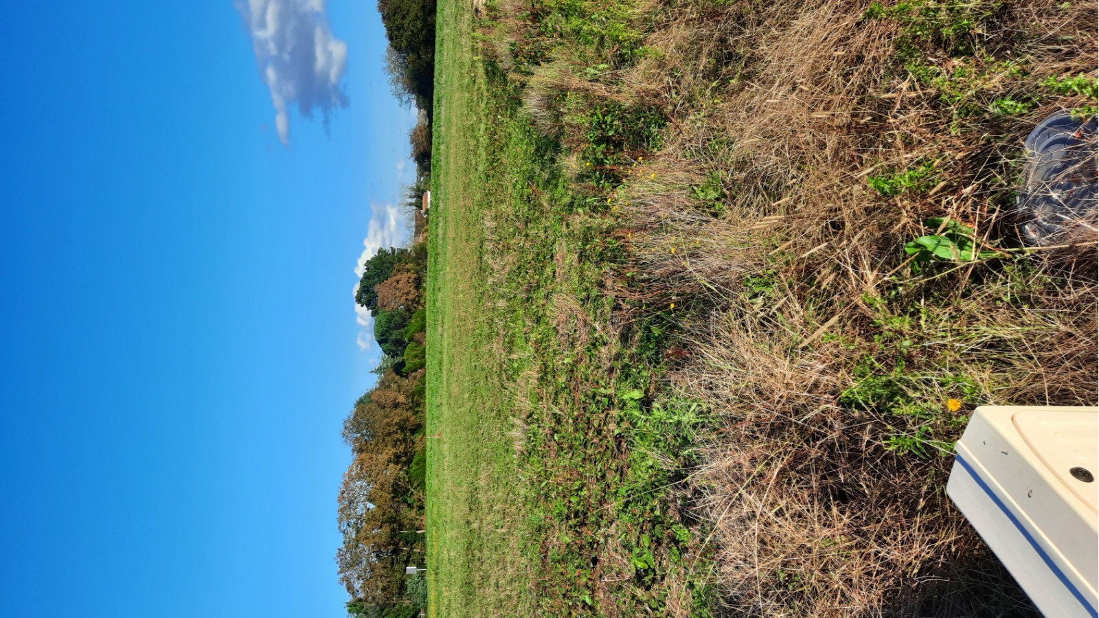 Terrain constructible de 700m2 à Préchacq-les-Bains