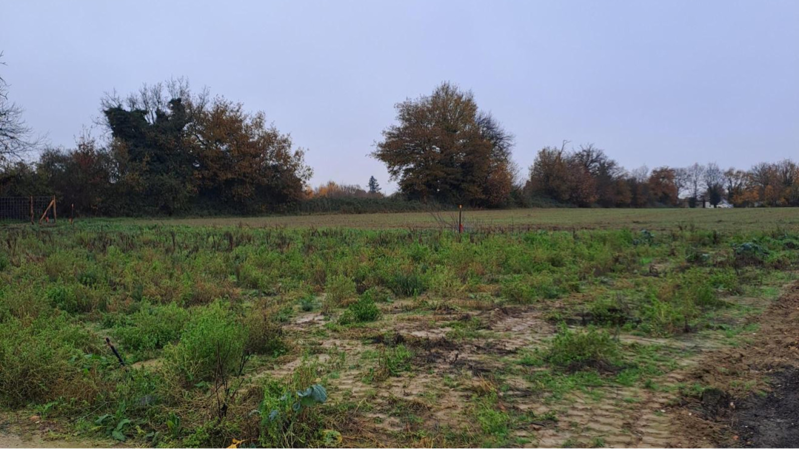 Terrain constructible de 335m2 à Segré-en-Anjou Bleu