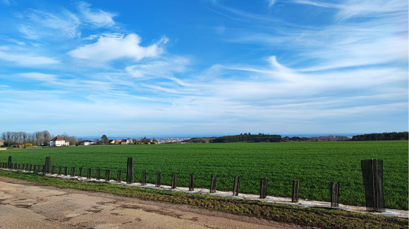 1710492738572 (1).jpg