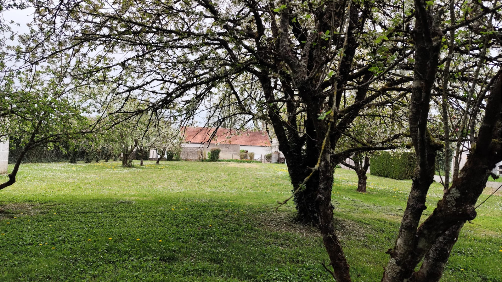 Terrain constructible de 700m2 à Saint-Amand-Longpré