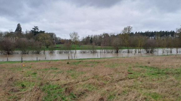 shared image (92).jpg