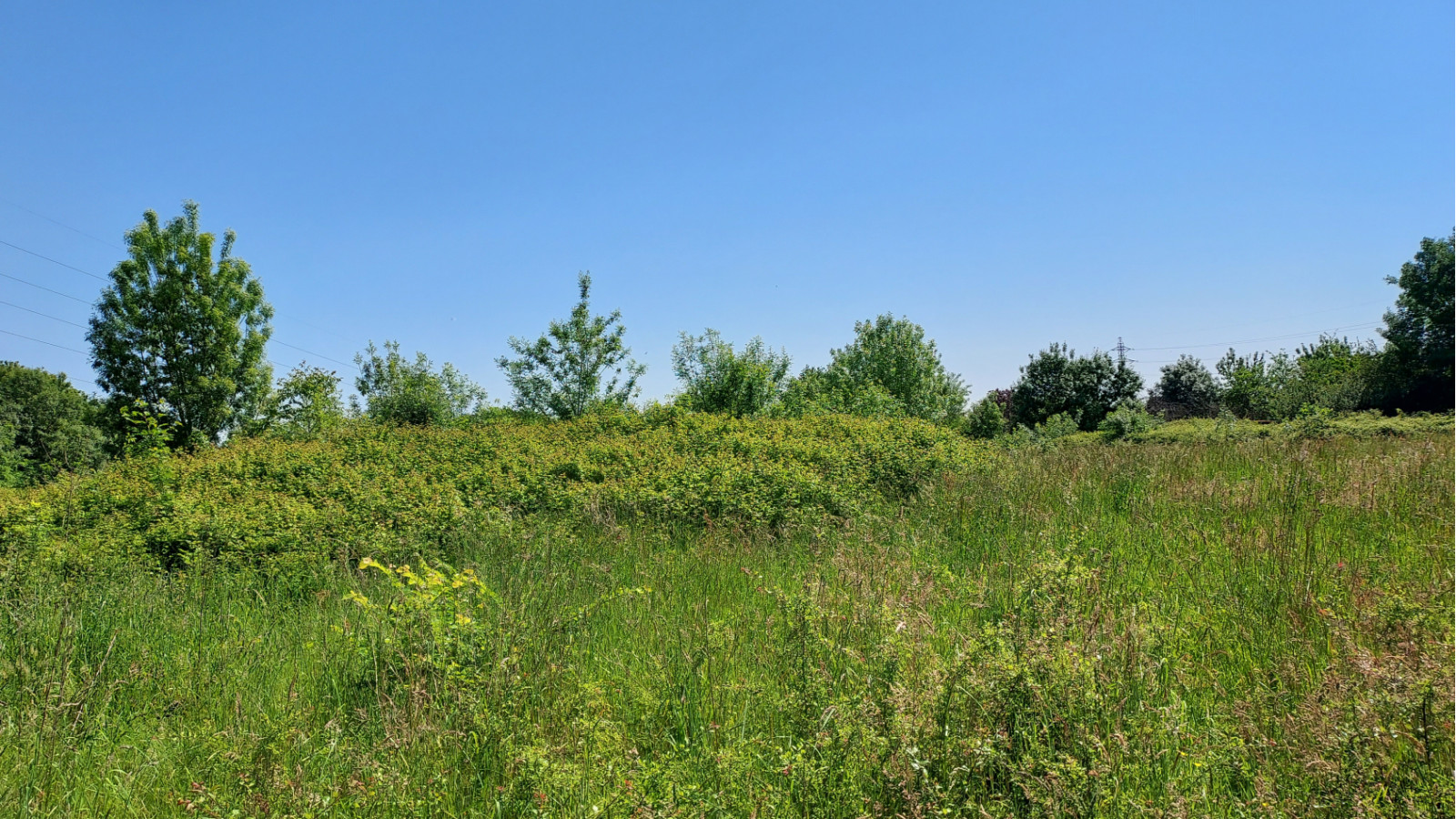 Terrain constructible de 293m2 à Bouguenais