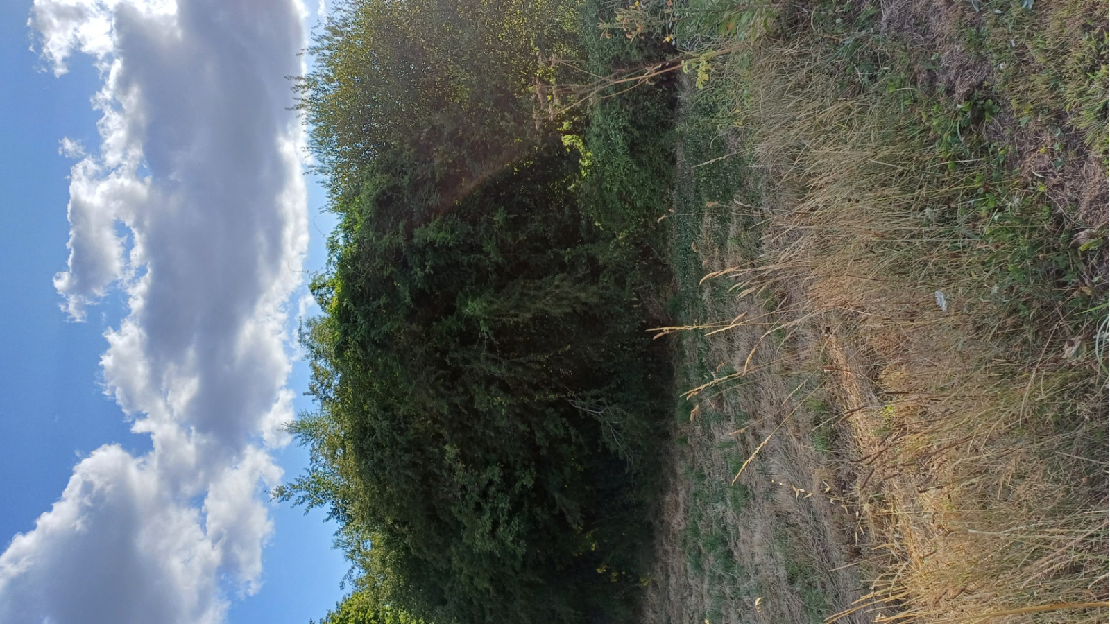 Terrain constructible de 654m2 à Beaulieu-sous-la-Roche