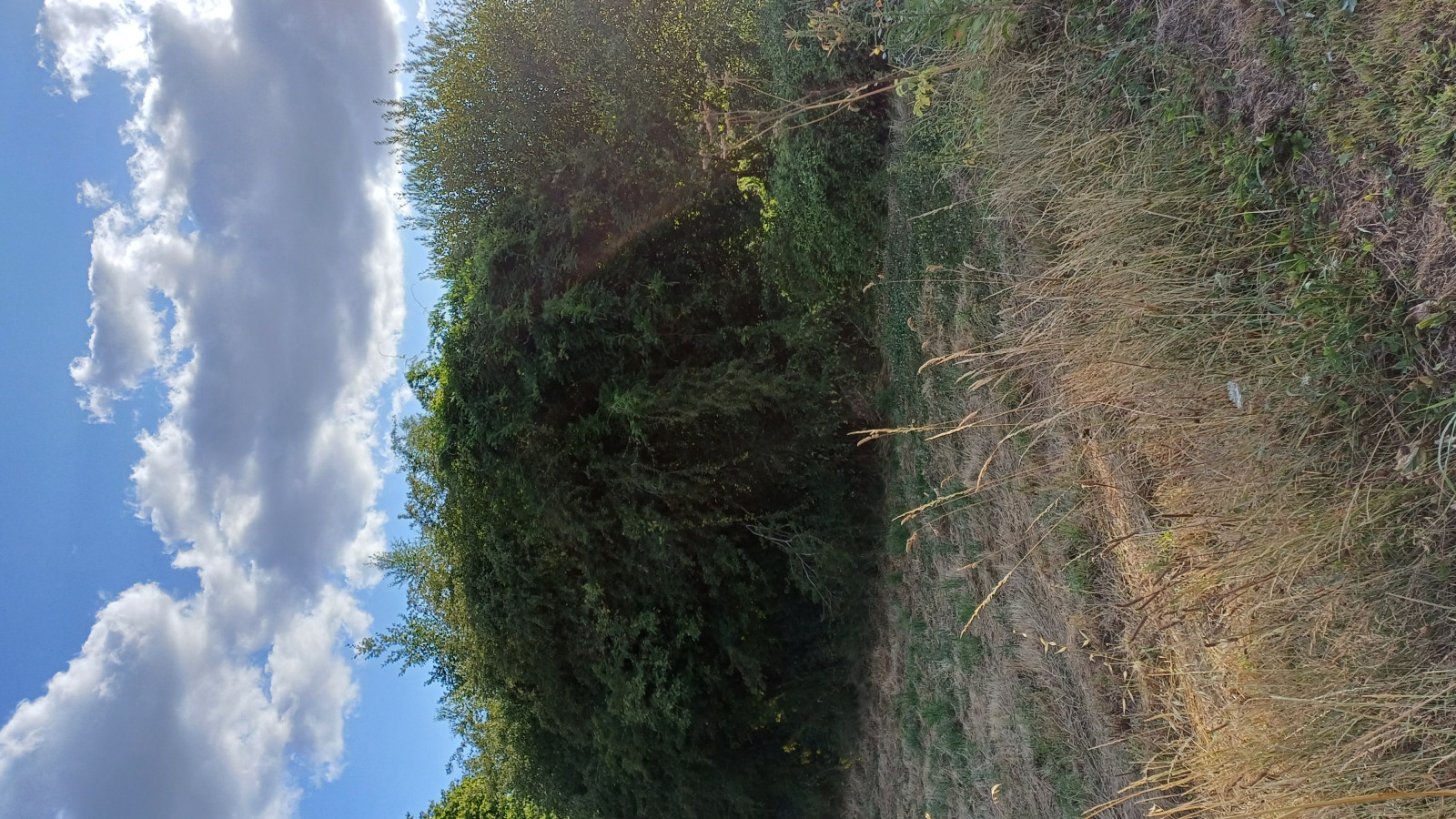 Terrain constructible de 654m2 à Beaulieu-sous-la-Roche