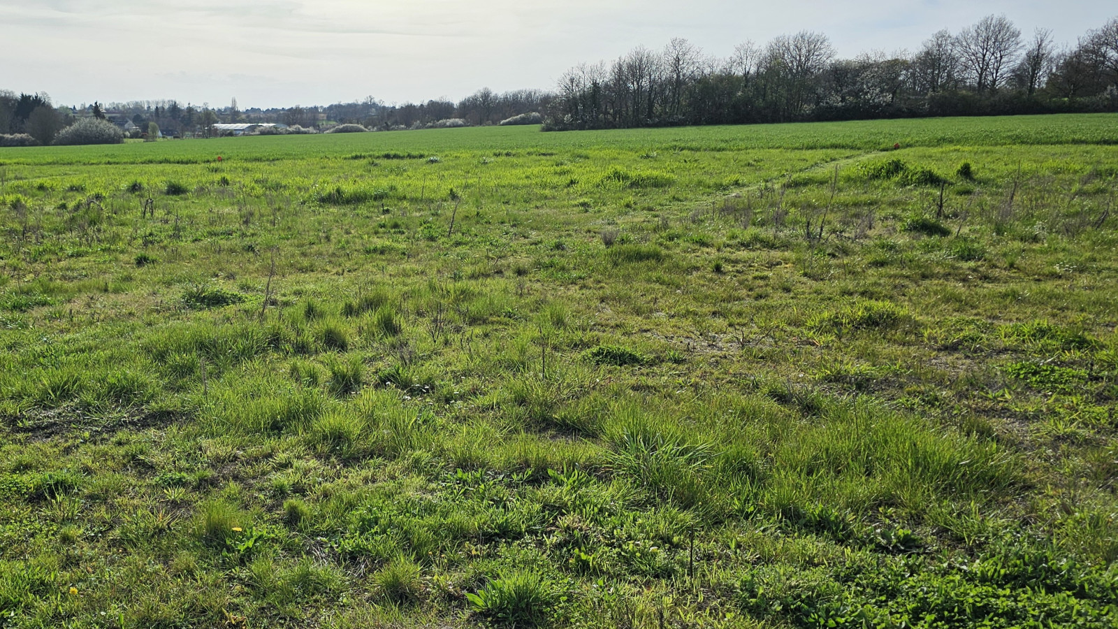 Terrain constructible de 3200m2 à Reignac-sur-Indre
