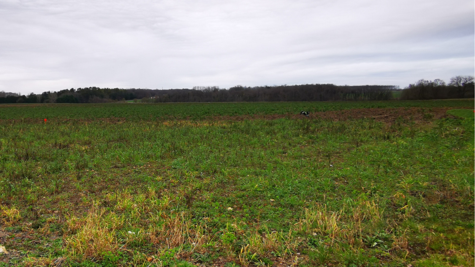 Terrain constructible de 437m2 à Parçay-Meslay