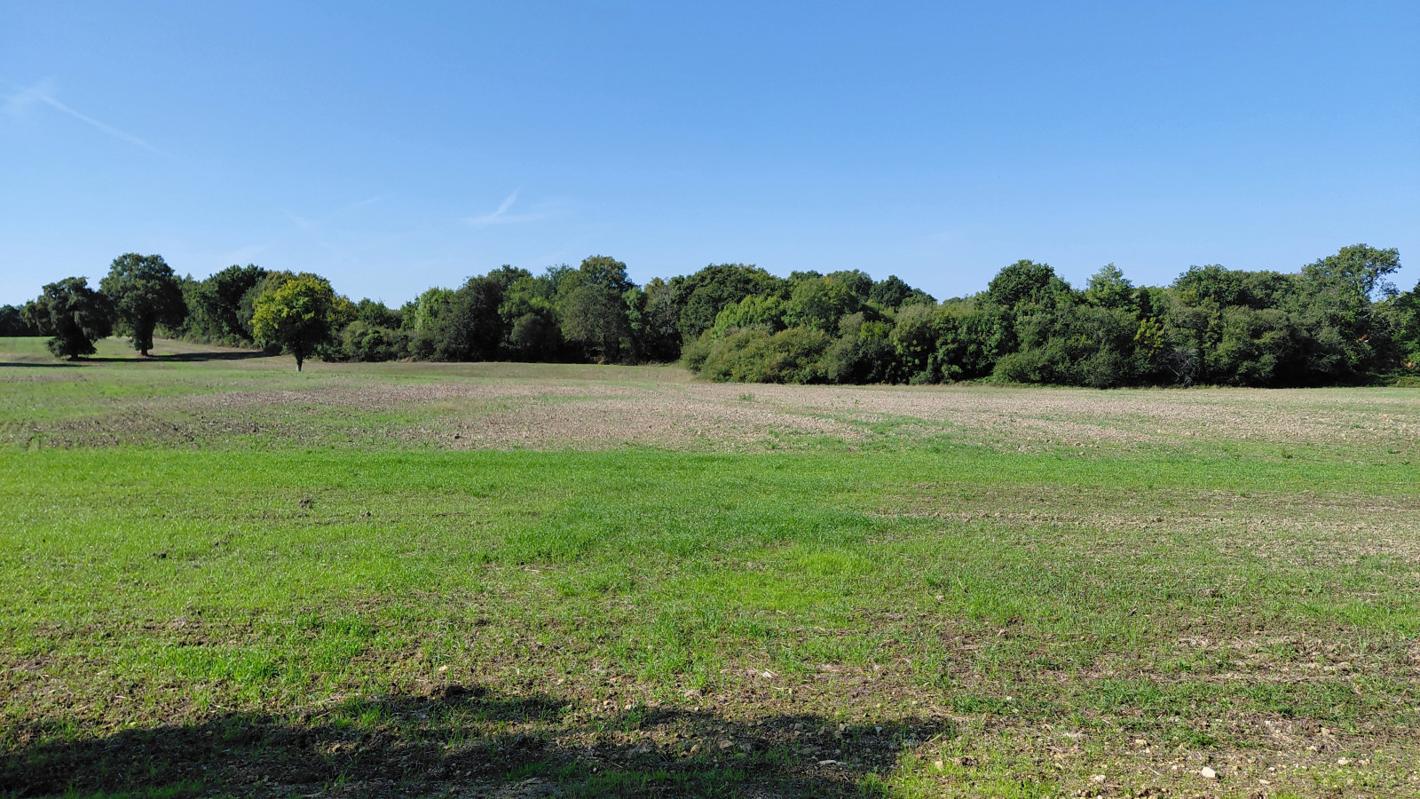 Terrain constructible de 260m2 à Avrillé