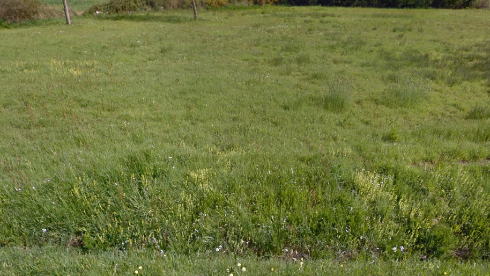 Terrain constructible de 550m2 à Vigneux-de-Bretagne