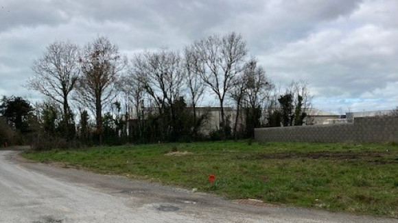 Olonne Les Moinardes.jpg