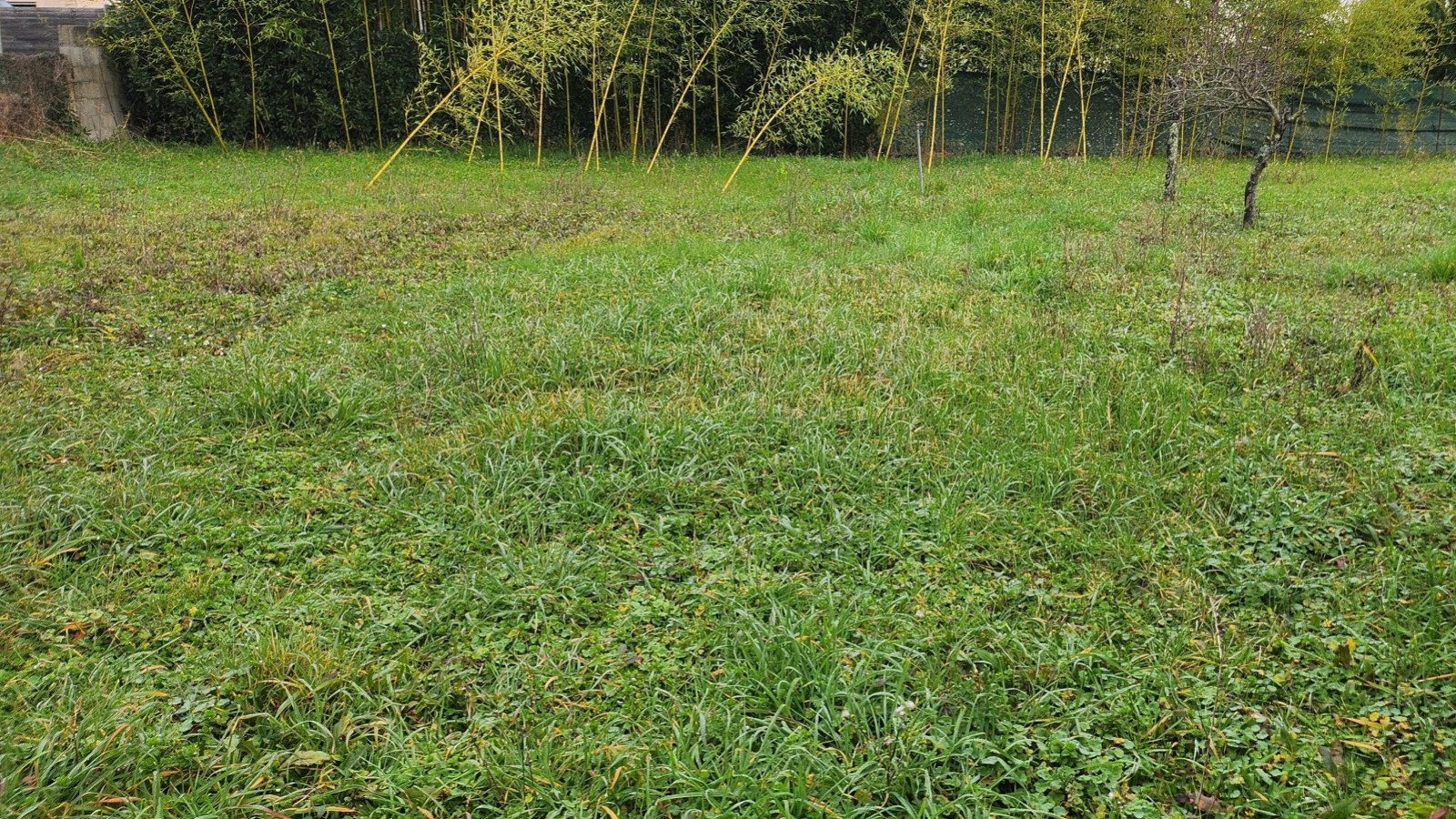 Terrain constructible de 900m2 à Joué-lès-Tours